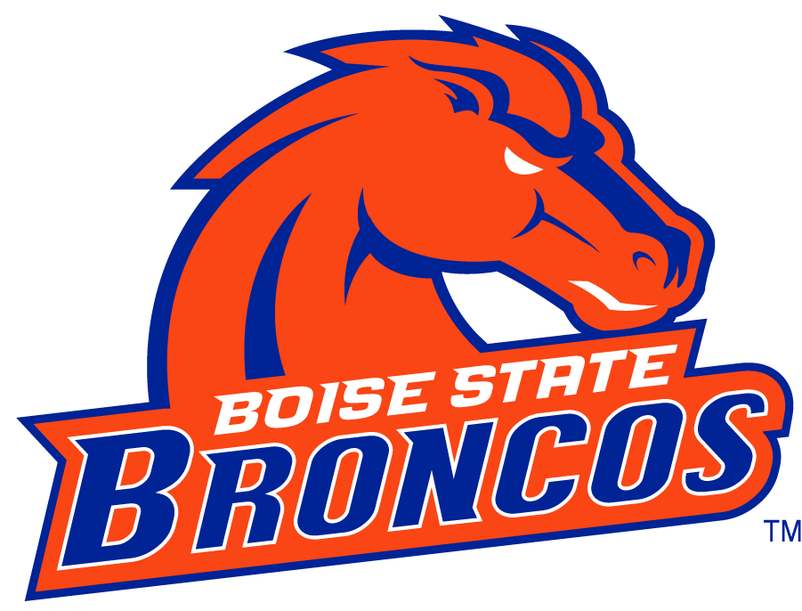 Boise State Broncos 2002-2012 Secondary Logo v27 iron on transfers for clothing
